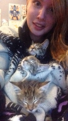 casualbutthole:  I PUT THREE KITTENS IN MY SWEATER AND POPPED