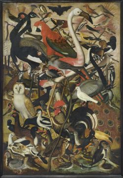 Anonymous German Artist, Les oiseaux, 1619