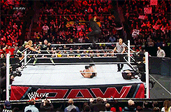 theshowstealer:  WWE RAW (13/01/2014): The Shield defeated CM