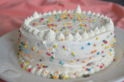 ilovedessert:  Vanilla cake (by mirutosk)