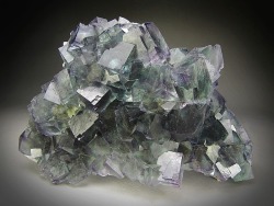 bijoux-et-mineraux:  Fluorite - Okorusu Mine, Namibia