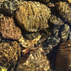 jimrichardsonng:  Simple beauties: rocks in the stream up in