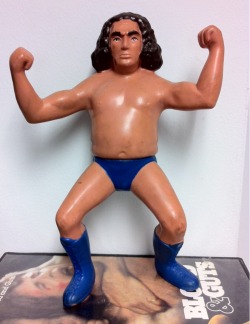 Andre The Giant action figure.  From a car boot sale in Nottingham.