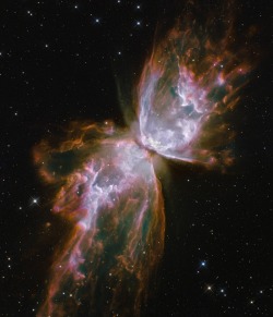 just–space:  NGC 6302- The Butterfly Nebula  js