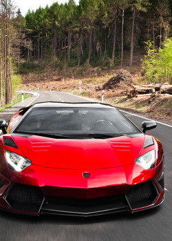 ripevibe:  Mansory Lamborghini Aventador⎛ ©⎛ RipeVibe