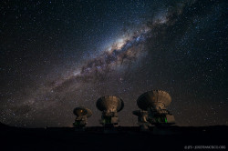 spaceexp:  The Atacama Large Millimeter/submillimeter Array 