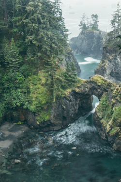 expressions-of-nature:  Oregon Coast by Maryanne Gobble