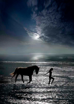 coiour-my-world:the horse whisperer … image by Igor Zenin