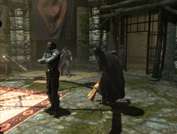 sociallyawkwardseraph:  Important meeting, weapons are out, Serana