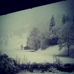 em Kandersteg Taverne