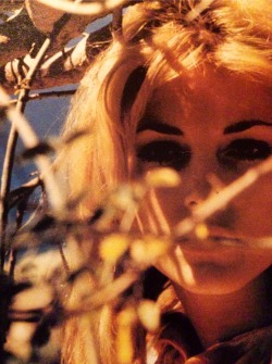 Sharon Tate, photographed during a 1964 session in Big Sur, by