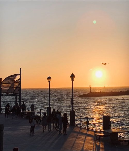 So Cal sunsets 🌅 #sunsets #redondobeachpier #sol #arena #mar