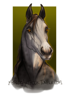 myrrdeartbook:  Colored one of the horse head studies.   * DeviantArt