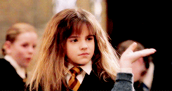 ninadobreva:  “I think Hermione is a new kind of role model.