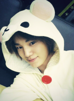 jjokkomee:  sungjong x selcas 