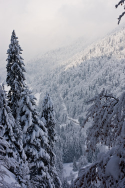 wonderous-world:  French Alps, France, Europe by Neil Sharp 