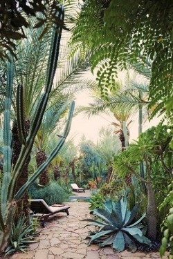 folklifestyle: Welcome to the jungle. #green #fresh #getoutside