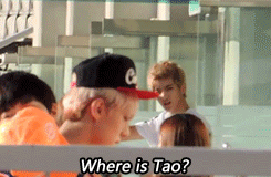 -jasmine-:  When Tao is hiding from Kris. Idol Star Olympics