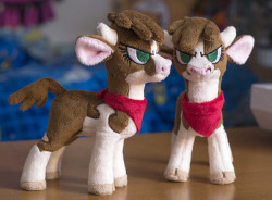 ambris:  manesixdev: And also! Have some pictures! - These mini-plush