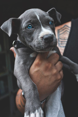 johnny-escobar:  Blue Pit 