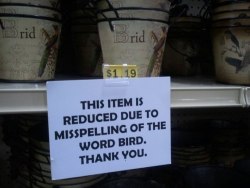 Brid is the word.