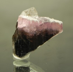 ural-minerals:  Tourmaline and   quartz  Russia, Transbaikalia,