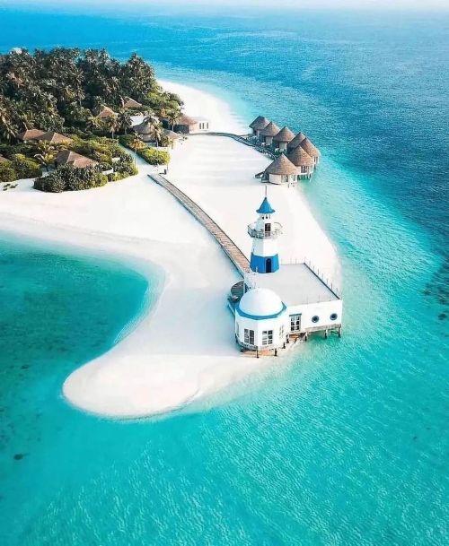saxiquine:  Dreamy ✨💙🐬