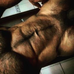 scsitek:  He is absolutely fucking gorgeous and hairy WOOOOF