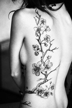 allinasoiree:  Tattoo Showcase: Cherry Blossoms <3