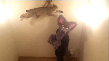 aceofheartsfox:  I found a thing! :D Another moment of our vacation filmed by my sister nissaportia :P 