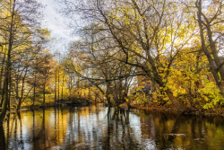 photosofnorwaycom:  2017_11_02 Oslo Maridalen (27) by tholmb