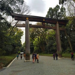 At #Meiji Shrine   #travel #Tokyo 🇯🇵 #temple 🏯🎌 (at