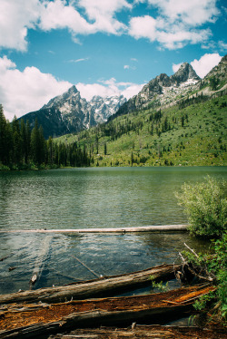 vagabonddaughter:  mystic-revelations:  grand tetons (by Christopher