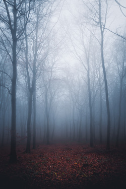 freddie-photography:  ‘Through a Blue Fog’ and ‘Light From