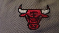  this is for aaall the Chicago bulls fans out there…all