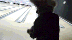 aceofheartsfox:Went bowling with sailorolive and ponyquest at