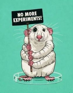 No más experimentos