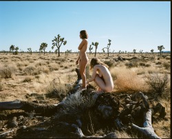 creativerehab:  At Joshua Tree.   Lo-res 120 film scan. 