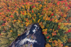 nubbsgalore:  autumnal aerials by jerry monkman, david oppenheimer,