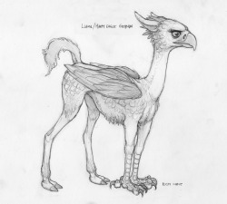 harpy eagle / llama gryphon random quickie sketch :3 I figured