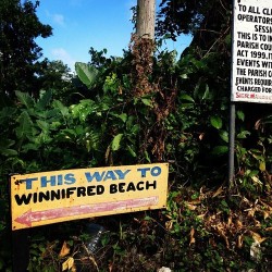 givingroots:  #18 : Stand Up for Jamaica - Free Winnifred Beach
