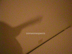someonespenis:  Shadow puppet. 