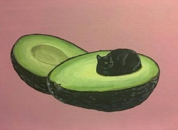 animatedamerican: avogato 