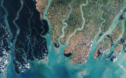 wired:  A natural-colour image of the Sundarbans in Bangladesh,