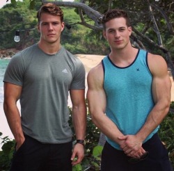 musclecorps:  