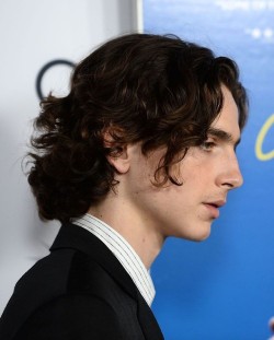 Timothée Chalamet