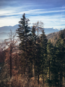 miriveld:  Austrian Alps by miriveld (instagram)