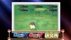 kalos-pkmnacademy:  CONFIRMED: Zubat Hordes some men want to