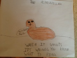 airbenderedacted:  psychedelicpaprika:  My brother drew alpacas