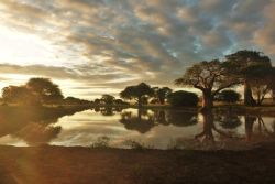 patagonia:  Terengire National Park  Submitted by WL http://baldadventures.tumblr.com/